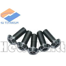 high strength Gr5 titanium round head bolt